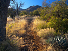 photo thumbnail #4