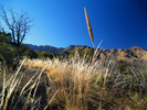 photo thumbnail #14