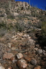 photo thumbnail #11