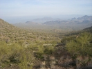 photo thumbnail #7