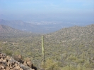 photo thumbnail #8