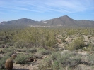 photo thumbnail #9
