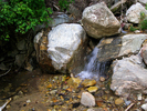 photo thumbnail #3