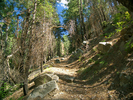 photo thumbnail #13