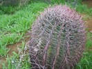 photo thumbnail #1