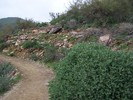 photo thumbnail #2