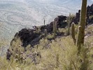 photo thumbnail #5