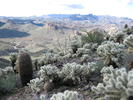 photo thumbnail #10