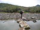 photo thumbnail #1