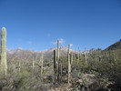 photo thumbnail #1