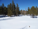 photo thumbnail #6