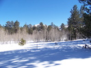 photo thumbnail #7