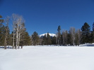 photo thumbnail #11