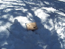 photo thumbnail #14
