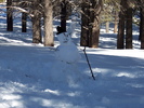 photo thumbnail #15