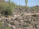 photo thumbnail #6