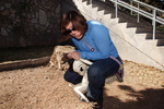photo thumbnail #12