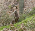 photo thumbnail #9
