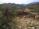 photo thumbnail #2