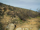 photo thumbnail #4