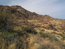 photo thumbnail #5