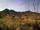 photo thumbnail #7