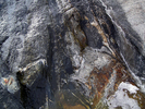 photo thumbnail #12
