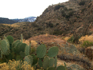 photo thumbnail #13