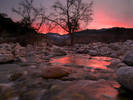 photo thumbnail #15