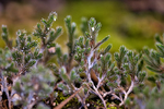 Featured Detail Photo