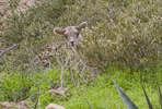 photo thumbnail #14