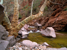 photo thumbnail #6