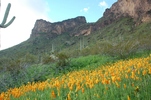 photo thumbnail #6