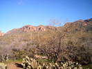 photo thumbnail #2