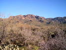 photo thumbnail #3