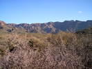 photo thumbnail #4