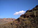 photo thumbnail #13