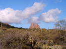 photo thumbnail #14