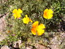 photo thumbnail #15