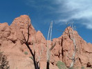 photo thumbnail #7