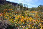 photo thumbnail #7