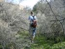 photo thumbnail #12