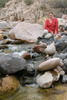 photo thumbnail #6