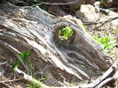 photo thumbnail #10