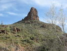 photo thumbnail #15