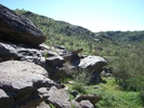 photo thumbnail #7