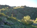photo thumbnail #10
