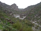 photo thumbnail #10