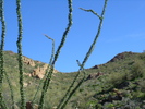photo thumbnail #4