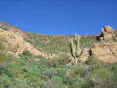 photo thumbnail #6